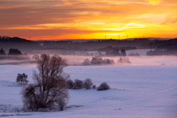 frostiger Sonnenaufgang - über Dienstweiler - Bestellnr: CAS_1621