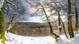 Panorama Vorkastell Nr2 - Panorama Nr. 2 Vorkastell im Winter. Nationalpark Hunsrueck-Hochwald - Bestellnr: CAS_7121-Pano