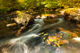 Traunbach Abentheuer im Herbst - Herbst im Nationalpark Hunsrueck-Hochwald. Traunbach bei Abentheuer - Bestellnr: IMG_8966