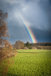 Regenbogen über Dienstweiler -  - Bestellnr: _MG_8594