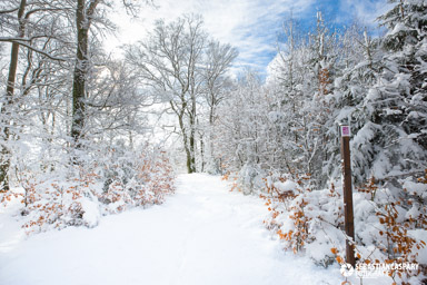 Traumschleife Trauntal Hoehenweg im Winter. Nationalpark Hunsrueck-Hochwald