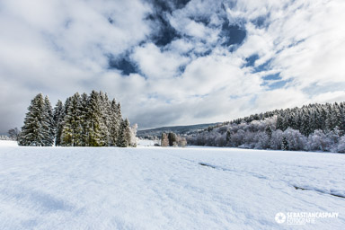 Winter im Nationalpark Hunsrueck-Hochwald