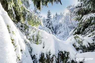 Winter im Nationalpark Hunsrueck-Hochwald. Erbeskopf. Traumschleife Gipfelrauschen