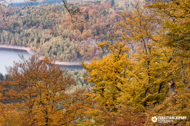 Herbst im Nationalpark Hunsrueck-Hochwald. Primstalsperre