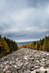 Herbst im Nationalpark Hunsrueck-Hochwald. Keltischer Ringwall Otzenhausen