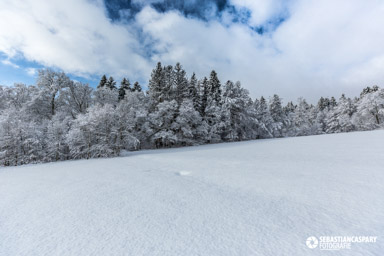 Winter im Nationalpark Hunsrueck-Hochwald