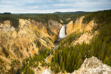 Lower Falls mit Grand Canyon of The Yellowstone